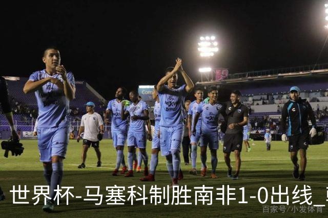 世界杯-马塞科制胜南非1-0出线 韩国积3分获小组第三待定