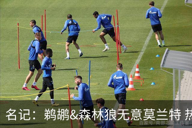 名记：鹈鹕&森林狼无意莫兰特 热火也不急于尝试其与字母哥的搭档